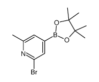 2-bromo-6-methyl-4-(4,4,5,5-tetramethyl-1,3,2-dioxaborolan-2-yl)pyridine Structure