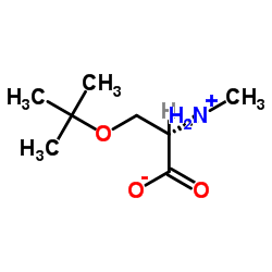 O-叔丁基-N-甲基-L-丝氨酸结构式