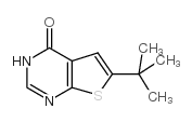 6-叔丁基-3H-噻吩[2,3-D]嘧啶-4-酮结构式