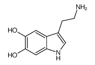 3-(2-Aminoethyl)-1H-indole-5,6-diol结构式