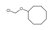 chloromethoxy-cyclooctane Structure