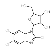 1H-Benzimidazole,2,5,6-trichloro-1-b-D-ribofuranosyl-结构式