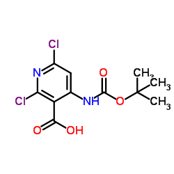 2,6-Dichloro-4-({[(2-methyl-2-propanyl)oxy]carbonyl}amino)nicotinic acid结构式