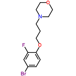 4-(3-(4-溴-2-氟苯氧基)丙基)吗啉结构式