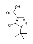 1-(叔-丁基)-5-氯-1H-吡唑-4-羧酸结构式