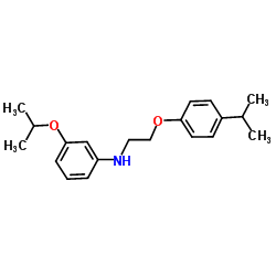 3-Isopropoxy-N-[2-(4-isopropylphenoxy)ethyl]aniline Structure