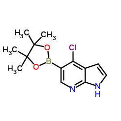 4-Chloro-1H-pyrrolo[2,3-b]pyridine-5-boronic acid pinacol ester structure