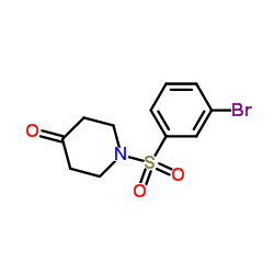 1-[(3-Bromophenyl)sulfonyl]-4-piperidinone Structure