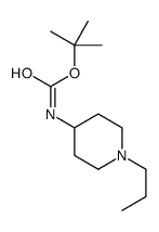 tert-butyl N-(1-propylpiperidin-4-yl)carbamate结构式