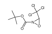 t-butyl 3-(trichloromethyl)-1,2-oxaziridine-2-carboxylate结构式