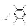 2,3,5,6-四氯-4-(甲基硫代)吡啶结构式
