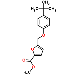 Methyl 5-[(4-tert-butylphenoxy)methyl]-2-furoate Structure