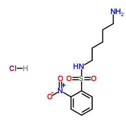 N-(5-Aminopentyl)-2-nitrobenzenesulfonamide Hydrochloride Structure