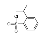 2-propan-2-ylbenzenesulfonyl chloride Structure