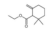 2,2-dimethyl-6-methylene-cyclohexanecarboxylic acid ethyl ester Structure