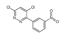 4,6-dichloro-3-(3-nitrophenyl)pyridazine Structure