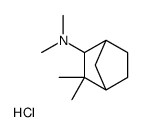 N,N,3,3-tetramethylbicyclo[2.2.1]heptan-2-amine,hydrochloride Structure