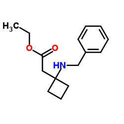 乙基 2-(1-(苯甲基氨基)环丁基)醋酸盐结构式