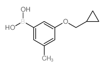 (3-(环丙基甲氧基)-5-甲基苯基)硼酸结构式