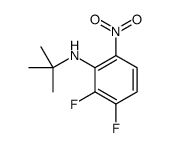 N-叔丁基-2,3-二氟-6-硝基苯胺结构式