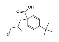 4-t-butyl-1-(3-chloro-2-methylpropyl)cyclohexa-2,5-dienecarboxylic acid Structure