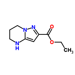 乙基 4,5,6,7-四氢吡唑并[1,5-a]嘧啶-2-甲酸基酯结构式