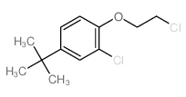 Benzene,2-chloro-1-(2-chloroethoxy)-4-(1,1-dimethylethyl)- Structure