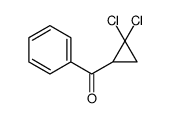(2,2-dichlorocyclopropyl)-phenylmethanone Structure