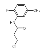 3-chloro-N-(2-fluoro-5-methylphenyl)propanamide Structure