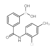 3-硼-N-(2-氯-4-甲基苯基)苯甲酰胺结构式