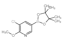 5-氯-6-甲氧基吡啶-3-硼酸频哪醇酯结构式