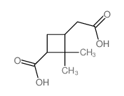 Cyclobutaneacetic acid,3-carboxy-2,2-dimethyl- Structure