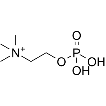 Phosphorylcholine Structure