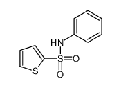 N-phenylthiophene-2-sulfonamide Structure