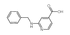 2-(Benzylamino)isonicotinic acid结构式