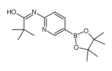 6-新戊酰氨基吡啶-3-硼酸频哪醇酯结构式