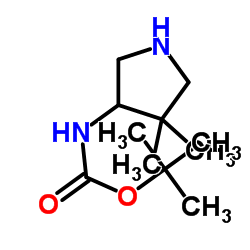 3-(4,4-二甲基比咯)-甲酰氨基叔丁酯盐酸盐结构式