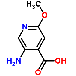 5-Amino-2-methoxyisonicotinic acid Structure