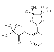 N-[3-(4,4,5,5-四甲基-1,3,2-二杂氧戊硼烷-2-基)吡啶-2-基]新戊酰胺结构式