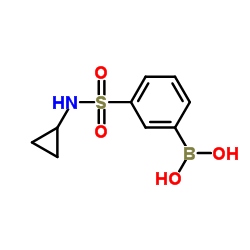 (3-(N-环丙基氨磺酰)苯基)硼酸结构式