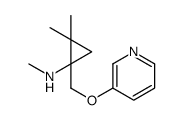 N,2,2-trimethyl-1-(pyridin-3-yloxymethyl)cyclopropan-1-amine结构式