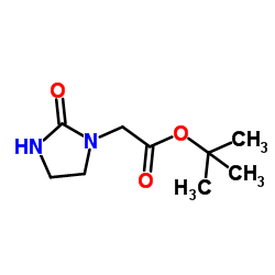 tert-butyl 2-(2-oxoimidazolidin-1-yl)acetate Structure
