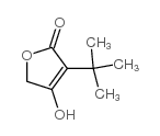 3-叔丁基-4-羟基呋喃-2(5H)-酮结构式