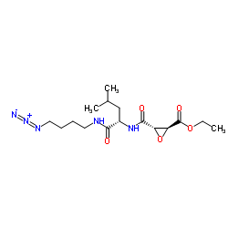 (2S,3S)-3-[[[(1S)-1-[[(4-Azidobutyl)amino]carbonyl]-3-Methylbutyl]amino]carbonyl]-2-oxiranecarboxylic Acid Ethyl Ester picture