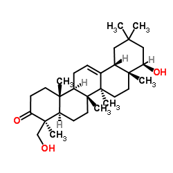 (22β)-22,24-Dihydroxyolean-12-en-3-one Structure