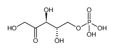 (2,3,5-trihydroxy-4-oxo-pentoxy)phosphonic acid结构式
