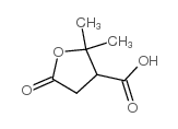 Terebic Acid Structure