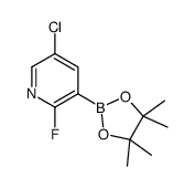 5-Chloro-2-fluoropyridine-3-boronic acid pinacol ester Structure