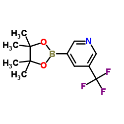 5-三氟甲基吡啶-3-硼酸频那醇酯结构式