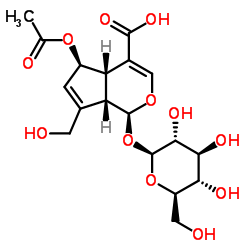 6-O-乙酰鸡屎藤次苷结构式